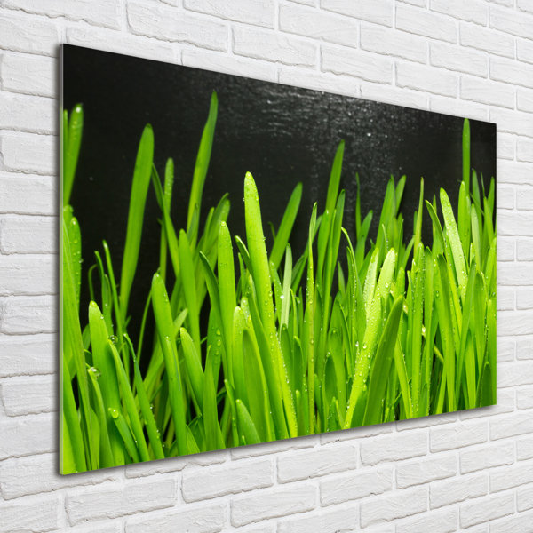 Ebern Designs Glasbild Grass Wayfair De